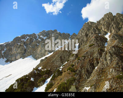 Österreich, Tirol, Alpen, Innsbruck, Seegrube, Berglandschaft, Stockfoto