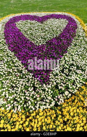 Blumenbeet in Herzform Stockfoto