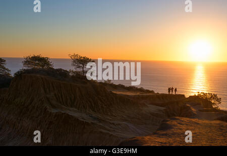 Torrey Pines State Naturpark bei Sonnenuntergang. La Jolla, Kalifornien, USA. Stockfoto