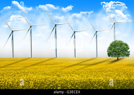 Windenergieanlagen, die Spinnen auf landwirtschaftlichen Bereich an einem Sommertag Stockfoto