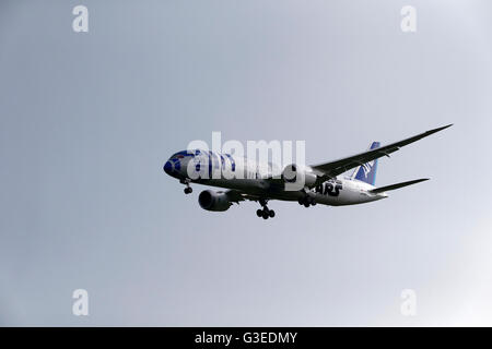 Nippon Airways ANA Boeing 787 9 Passagierflugzeug auf der Zielseite Ansatz, Franz-Josef-Strauß-Flughafen bei München, Deutschland Stockfoto