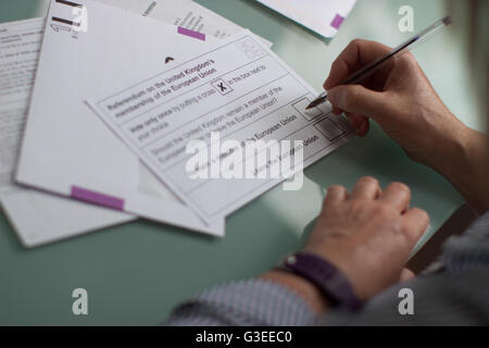 Referendum ausfüllen über das Vereinigte Königreich als Mitglied der Europäischen Union, Briefwahl, Stimmzettel Form für brexit Stockfoto