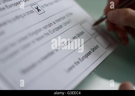 Referendum ausfüllen über das Vereinigte Königreich als Mitglied der Europäischen Union, Briefwahl, Stimmzettel Form für brexit Stockfoto