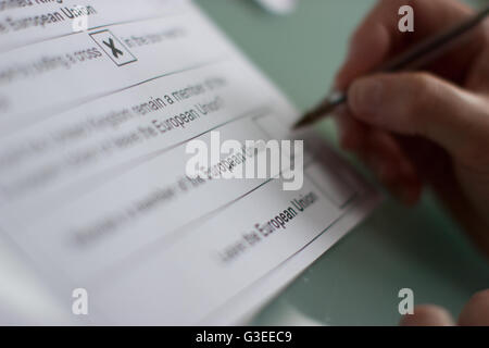 Referendum ausfüllen über das Vereinigte Königreich als Mitglied der Europäischen Union, Briefwahl, Stimmzettel Form für brexit Stockfoto