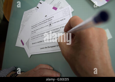 Referendum ausfüllen über das Vereinigte Königreich als Mitglied der Europäischen Union, Briefwahl, Stimmzettel Form für brexit Stockfoto