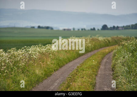 Schmutzigen Straße unter Keimen Getreidefelder mit blauen Wolkenhimmel über niedrigere Schlesien Polen Stockfoto