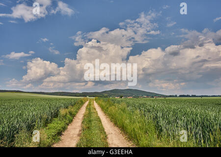 Schmutzigen Straße unter Keimen Getreidefelder mit blauen Wolkenhimmel über niedrigere Schlesien Polen Stockfoto