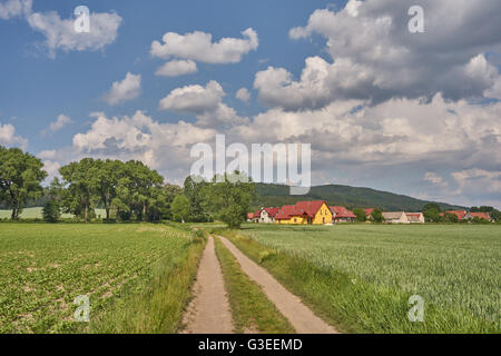 Schmutzigen Straße unter Keimen Getreidefelder mit blauen Wolkenhimmel über niedrigere Schlesien Polen Stockfoto