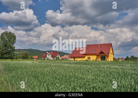 Blauen Wolkenhimmel über Korn Keimen Felder niedriger Schlesien Polen Stockfoto