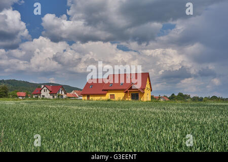 Blauen Wolkenhimmel über Korn Keimen Felder niedriger Schlesien Polen Stockfoto