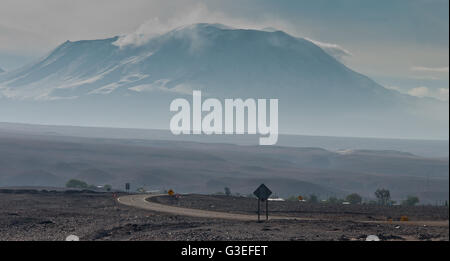 Chile, Anden Bereich in Richtung Laguna Chaxa Stockfoto