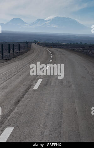 Chile, Anden Bereich in Richtung Laguna Chaxa Stockfoto