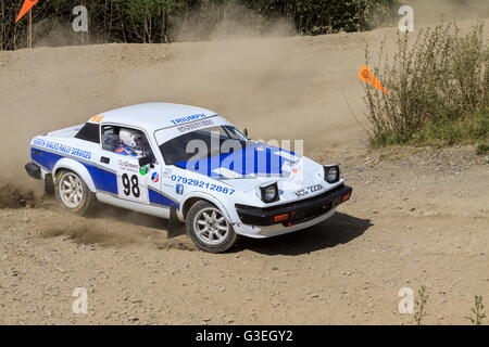 Ein Triumph TR8 wirft etwas Staub auf der Plains Rally, Gartheiniog Wald, Mid Wales Stockfoto