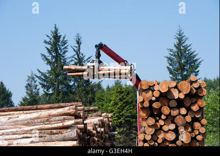 Kran-Betreiber laden anmeldet LKW an einem schönen Sommertag Stockfoto