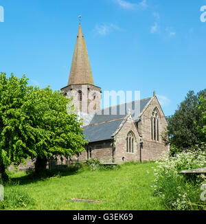 Großes Landkirche mit Turm an einem Sommertag. Stockfoto