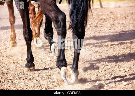 Details der Pferde gehen. Stockfoto