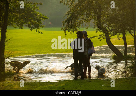 Sturzfluten in London erstellen einen Pool Fpr Hunde in einem Londoner Park spielen Stockfoto