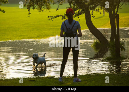 Sturzfluten in London erstellen einen Pool Fpr Hunde in einem Londoner Park spielen Stockfoto