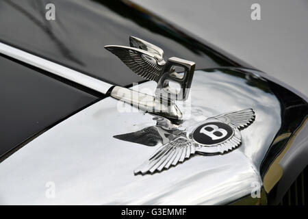 Bentley Emblem auf Motorhaube Stockfoto