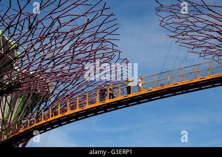 Touristen auf OCBC Skyway zwischen Supertrees bei Gardens by the Bay Singapore Stockfoto