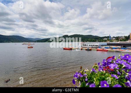 See-Titisee: Steg, Deutschland, Baden-Württemberg, Schwarzwald, Schwarzwald, Titisee-Neustadt Stockfoto