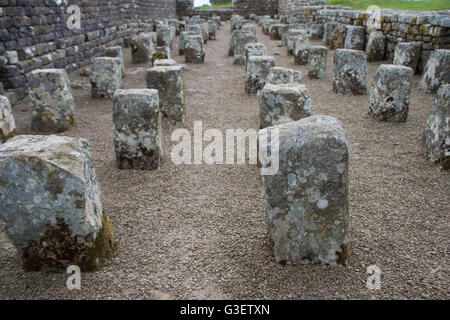 Der Getreidespeicher in Housesteads römischen Festung am Hadrianswall, Northumberland, England, UK Stockfoto