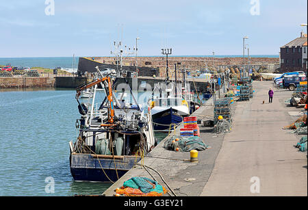 Dunbar Harbour East Lothian. Schottland. UK Stockfoto