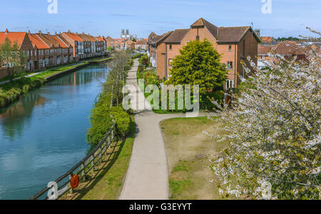 Das alte Münster aus betrachtet entlang der Beck auf einem feinen Sommermorgen und Bäume in voller Blüte in Beverley von Bürgerhäusern gesäumt. Stockfoto