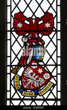 Heraldische Glasmalerei, St. Peter und St. Paul Church, Cosgrove, Northamptonshire, England, UK Stockfoto