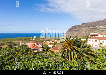 Blick von Tazacorte über Bananenplantagen bis zum Meer, La Palma, Kanarische Inseln, Spanien, Europa Stockfoto