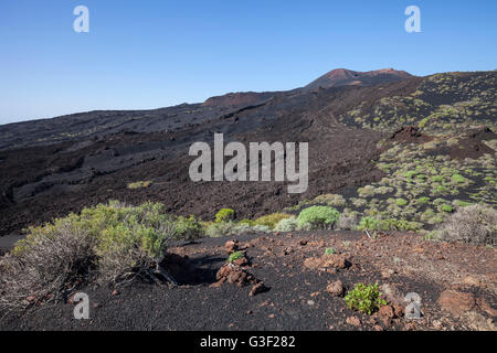 Fluss der Lava des Vulkans Teneguia, La Palma, brach in 1971, Kanarische Inseln, Spanien, Europa Stockfoto