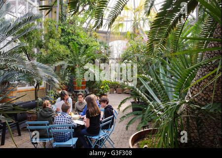 Botanische Garten Hortus Botanicus, Amsterdam, Holland, Niederlande Stockfoto