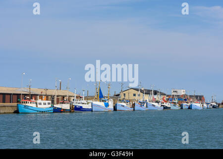 Hafen mit Angeln Boote, Hirtshals, Nord-Jütland, Dänemark Stockfoto