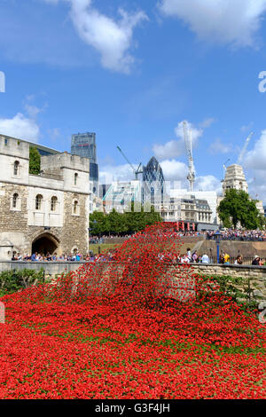 London, England, Vereinigtes Königreich. 'Blut fegte Länder und Meere rot' - Mohn im Graben an der Tower of London. Kunstinstallation 2014 Stockfoto