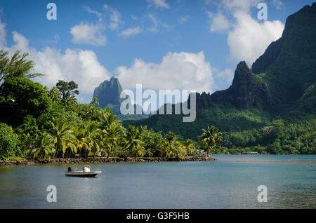 Boot in Cooks Bay mit Moua Puta Berg im Hintergrund in eine Dschungellandschaft auf der tropischen Insel Moorea, in der Nähe von Tahiti Stockfoto