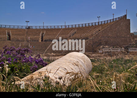 Amphitheater in Caesarea Maritima, genannt Caesarea Palaestina von 133 n. Chr., war eine Stadt und den Hafen von Herodes gebaut Stockfoto