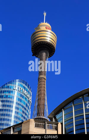 Sydney Tower, Central Business District, Sydney, New South Wales, Australien Stockfoto
