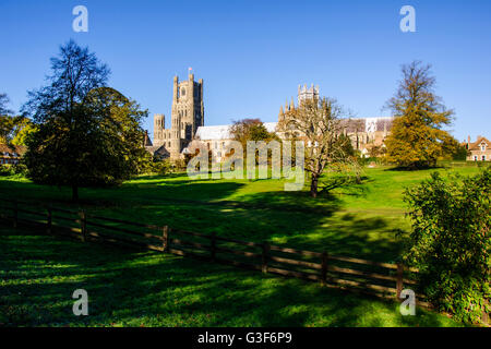 Ely Kathedrale, Cambridgeshire, England, Vereinigtes Königreich Stockfoto