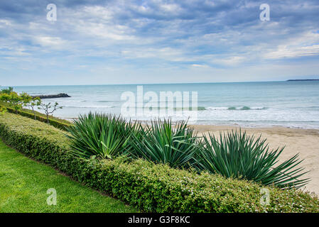 Exotische Strandpromenade mit Palmen Bäume Closeup. Stockfoto