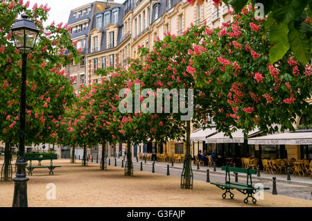 Place Dauphine im Frühling, Paris Stockfoto