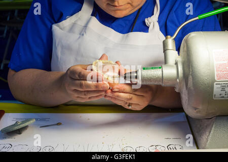 Warren, Michigan, USA. 10. Juni 2016. Zahntechniker repariert eine Prothese während einer zwei- Tage Zahnklinik, organisiert von der barmherzigen gemeinnützigen Mission. Bildnachweis: Jim West/Alamy Live-Nachrichten Stockfoto