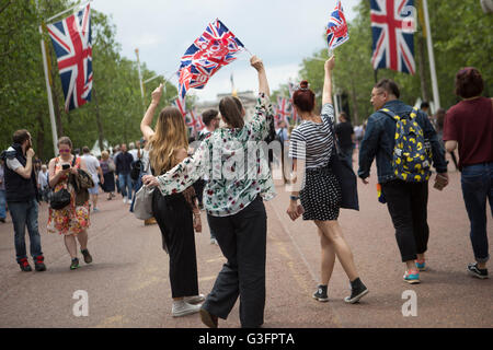 London, UK, 11. Juni 2016. Menschenmengen sammeln auf der Mall für die RAF Vorbeiflug Abschluss ist in diesem Jahr Trooping die Farbe. Das diesjährige Ereignis markiert 90. Geburtstag der Königin. Marc Gascoigne/Alamy Live-Nachrichten. Stockfoto