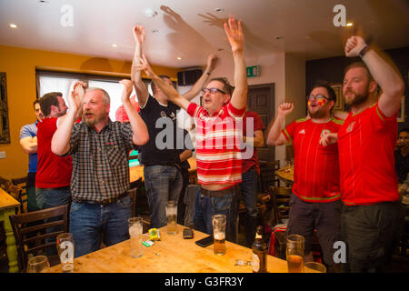 Aberystwyth, Wales, UK. 11. Juni 2016.  EM 2016: Avid walisische Unterstützer in der Henne Llew Du (alte Black Lion) Pub in Aberystwyth feiern ihr Team historischen 2: 1-Sieg über die Slowakei im Eröffnungsspiel des Turniers durch Tore von Gareth Bale und Robson-Kanu der walisischen Fußballnationalmannschaft erscheinen in ihrer ersten großen internationalen Wettbewerb seit der WM 1958 / Alamy Live News Credit: Keith Morris/Alamy Live-Nachrichten Stockfoto