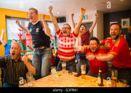 Aberystwyth, Wales, UK. 11. Juni 2016.  EM 2016: Avid walisische Unterstützer in der Henne Llew Du (alte Black Lion) Pub in Aberystwyth feiern ihr Team historischen 2: 1-Sieg über die Slowakei im Eröffnungsspiel des Turniers durch Tore von Gareth Bale und Robson-Kanu der walisischen Fußballnationalmannschaft erscheinen in ihrer ersten großen internationalen Wettbewerb seit der WM 1958 / Alamy Live News Credit: Keith Morris/Alamy Live-Nachrichten Stockfoto