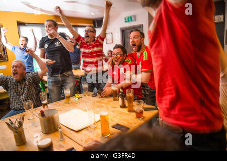 Aberystwyth, Wales, UK. 11. Juni 2016.  EM 2016: Avid walisische Unterstützer in der Henne Llew Du (alte Black Lion) Pub in Aberystwyth feiern ihr Team historischen 2: 1-Sieg über die Slowakei im Eröffnungsspiel des Turniers durch Tore von Gareth Bale und Robson-Kanu der walisischen Fußballnationalmannschaft erscheinen in ihrer ersten großen internationalen Wettbewerb da die 1958 WM Credit: Keith Morris/Alamy Live-Nachrichten Stockfoto