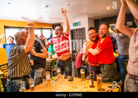 Aberystwyth, Wales, UK. 11. Juni 2016.  EM 2016: Avid walisische Unterstützer in der Henne Llew Du (alte Black Lion) Pub in Aberystwyth feiern ihr Team historischen 2: 1-Sieg über die Slowakei im Eröffnungsspiel des Turniers durch Tore von Gareth Bale und Robson-Kanu der walisischen Fußballnationalmannschaft erscheinen in ihrer ersten großen internationalen Wettbewerb da die 1958 WM Credit: Keith Morris/Alamy Live-Nachrichten Stockfoto