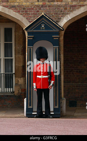 London, UK. 11. Juni 2016. Ein Coldstream Guard steht vor seinem Wachhäuschen im Kensington Palace.  Bildnachweis: Paul Marriott/Alamy Live-Nachrichten Stockfoto