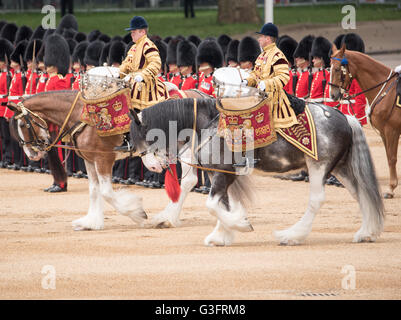 London, UK, 11. Juni 2016 Drum Pferde bei der Trooping die Farbe Credit: Ian Davidson/Alamy Live News Stockfoto