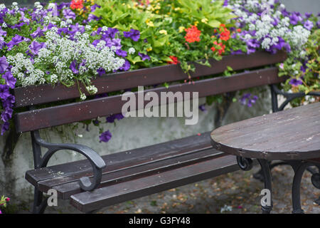 Parkbank und Tisch, umgeben von blühenden Blumen Stockfoto