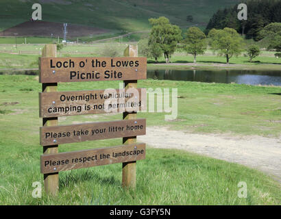 Loch Lowes Picknickplatz, Schafgarbe Tal, Grenzen, Schottland, UK Stockfoto